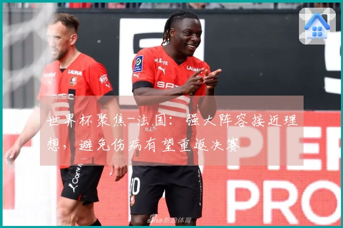 世界杯聚焦-法国：强大阵容接近理想，避免伤病有望重返决赛